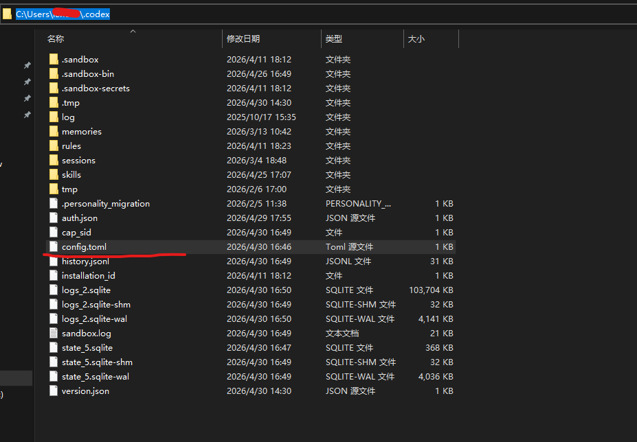 Codex Windows config.json